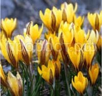 Без названия (9) Без названия (9)