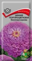 Цинния георгиноцветковая Фиолетовая королева Цинния георгиноцветковая Фиолетовая королева