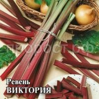 Ревень Виктория 15 г Ревень Виктория 15 г