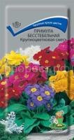 Примула бесстебельная Крупноцветковая смесь Примула бесстебельная Крупноцветковая смесь