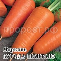Морковь Курода Шантанэ 100г