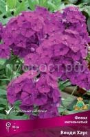 Флокс метельчатый Венди Хаус Флокс метельчатый Венди Хаус