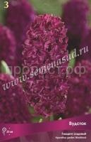 Вудсток Вудсток