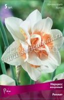 Нарцисс Реплит Нарцисс Реплит