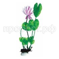 373ebba7a034ecf5c42262db9feb1204 373ebba7a034ecf5c42262db9feb1204