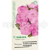 петуния игл снежно-роз.