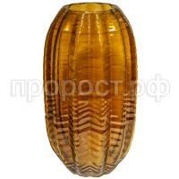 кактус желт бол кактус желт бол