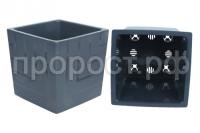 квадро антр квадро антр