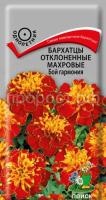 Бархатцы отклоненные махровые Бой гармония Бархатцы отклоненные махровые Бой гармония