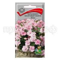 Бальзамин-Афина-Юнона-5шт-Поиск Бальзамин-Афина-Юнона-5шт-Поиск