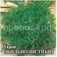 Рисунок26 Рисунок26