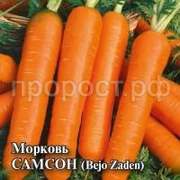 Морковь Самсон 10 г Морковь Самсон 10 г