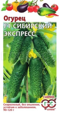 Огурец Сибирский экспресс F1 10шт Огурец Сибирский экспресс F1 10шт