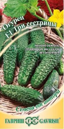 Огурец Три сестрицы F1 10шт Огурец Три сестрицы F1 10шт