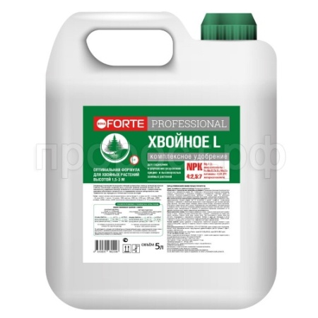 Бона Форте Professional Хвойное L канистра 5л 2шт