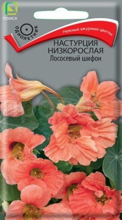 Настурция низкорослая Лососевый шифон 1гр  Настурция низкорослая Лососевый шифон 1гр