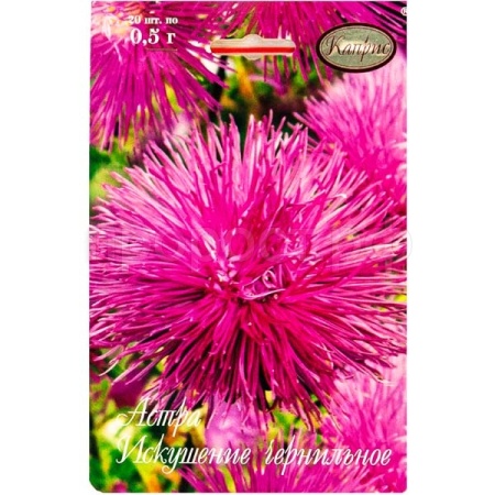 Астра Искушение чернильная 20*1