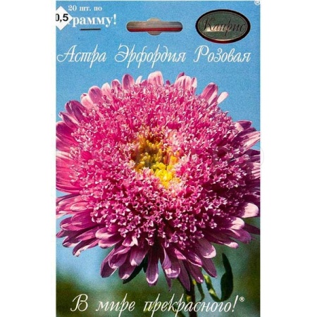 Астра Эрфордия Розовая 20*0,5 
