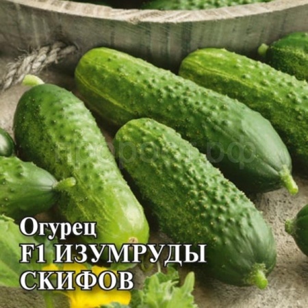 Огурец Изумруды скифов F1 100шт Огурец Изумруды скифов F1 100шт