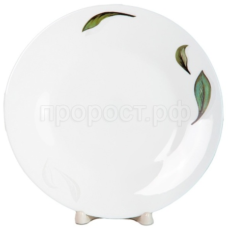 Тарелка мелкая 250мл Oasis Парадиз 197-21001