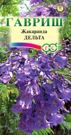 Жакаранда Дельта 3шт  Жакаранда Дельта 3шт