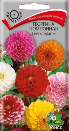 Георгина помпонная Смесь окрасок 0,3г Георгина помпонная Смесь окрасок 0,3г