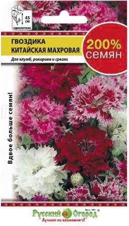 Гвоздика Китайская русский размер