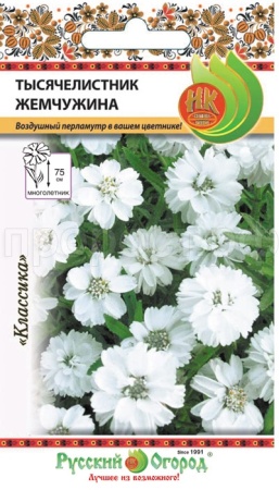 Тысячелистник Жемчужница 0,1г Тысячелистник Жемчужница 0,1г