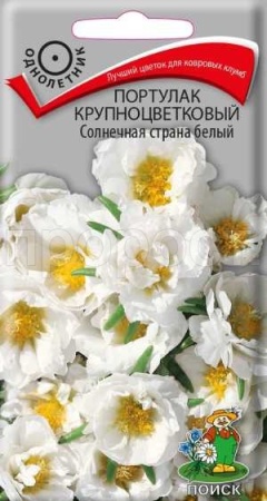 Портулак Солнечная страна белый 0,1г Портулак Солнечная страна белый 0,1г
