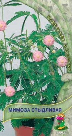 Мимоза Стыдливая 0,3г