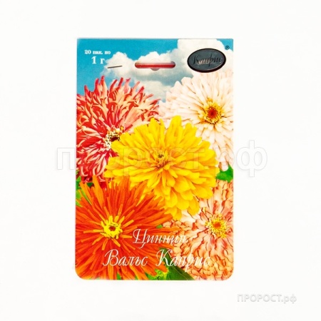 Цинния Вальс Каприс смесь 20*1  Цинния Вальс Каприс смесь 20*1