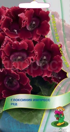 Глоксиния Импресс Ред 5шт Глоксиния Импресс Ред 5шт