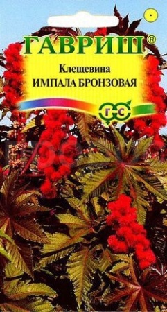 Клещевина Импала бронзовая 5шт  Клещевина Импала бронзовая 5шт