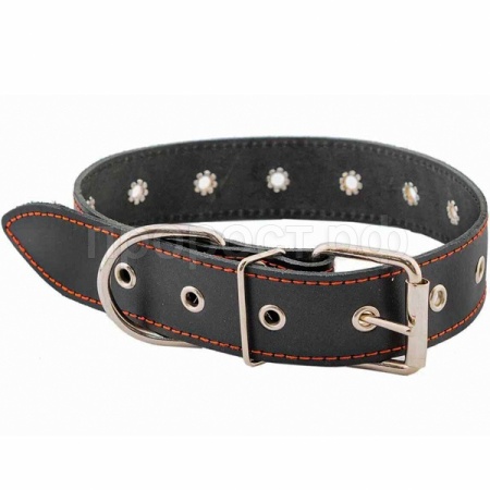 Ошейник кожа 35мм ЧИП натурал кожа простроч.до 71см черный/51038черн/Дарэлл