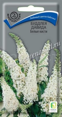 Буддлея Давида Белые кисти 0,01гр Буддлея Давида Белые кисти 0,01гр