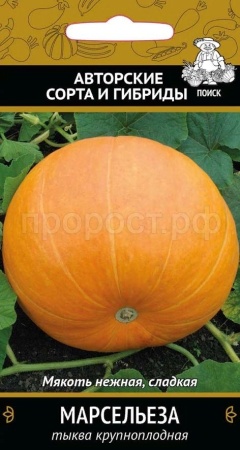 Тыква крупноплодная Марсельеза 10шт  Тыква крупноплодная Марсельеза 10шт