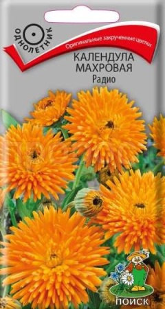 Календула Радио 1гр  Календула Радио 1гр