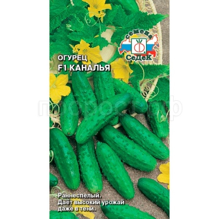Седек Огурец Каналья F1 0,2г