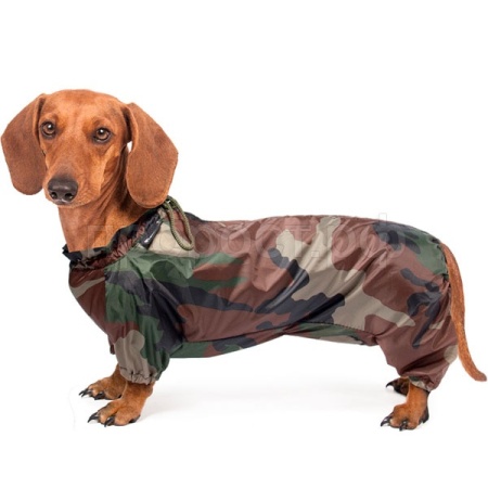 Комбинезон зимний Такса 41см M/12212018/Триол