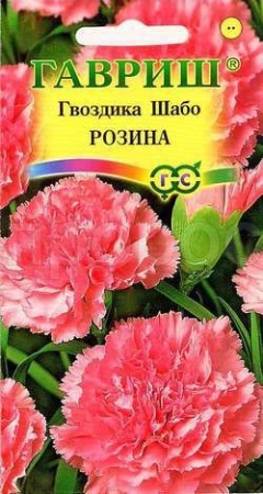 Гвоздика Шабо Розина 0,05г Гвоздика Шабо Розина 0,05г
