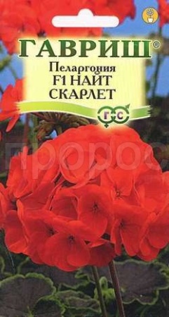 Пеларгония Найт Скарлет F1 зональная 4 шт  Пеларгония Найт Скарлет F1 зональная 4 шт