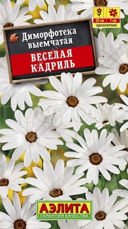 Аэлита Диморфотека Веселая кадриль 0,2г