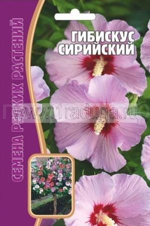 Гибискус Сирийский 7 шт Гибискус Сирийский 7 шт