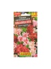 Аэлита Годеция Красавица лета крупноцветковая, смесь окрасок 0,05г 