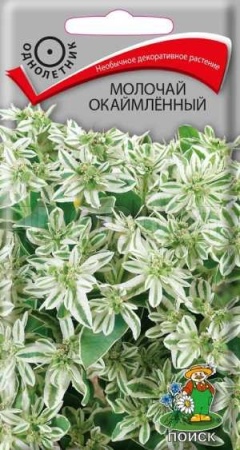 Молочай окаймленный 0,2г Молочай окаймленный 0,2г