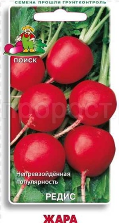 Поиск Редис Жара 3г