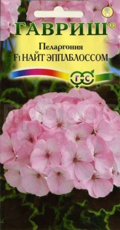 Пеларгония Найт Эплблоссом F1 зонал 4 шт Пеларгония Найт Эплблоссом F1 зонал 4 шт