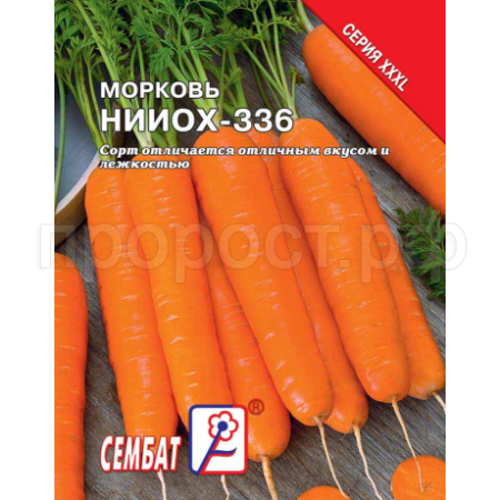 Морковь НИИОХ 336 10 г  Морковь НИИОХ 336 10 г