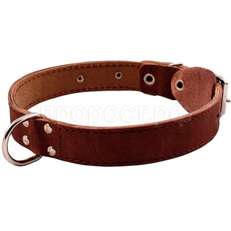 Ошейник кожа 35мм с кольцом посередине 50-59см/00035031/Каскад 