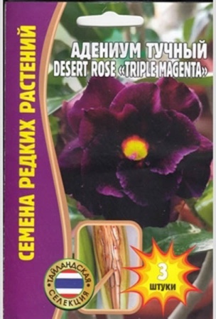 Адениум Triple Magenta DESERT ROSE 3шт Адениум Triple Magenta DESERT ROSE 3шт